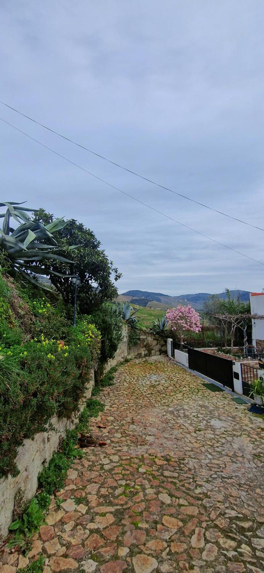 הוילה Pinhão Casa Rodrigues מראה חיצוני תמונה