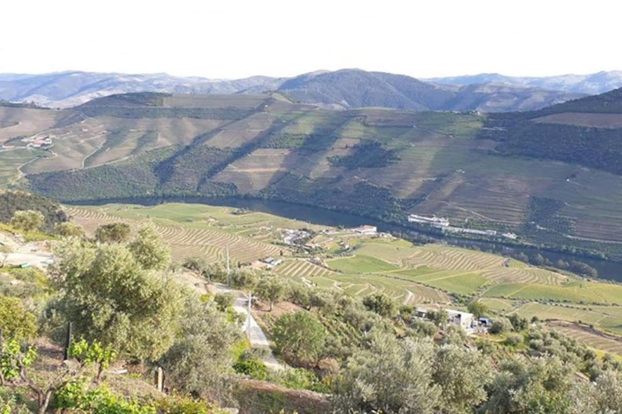 הוילה Pinhão Casa Rodrigues מראה חיצוני תמונה